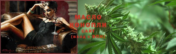 шишки Верхний Тагил