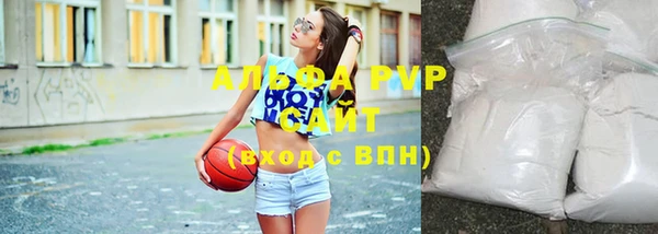 шишки Верхний Тагил