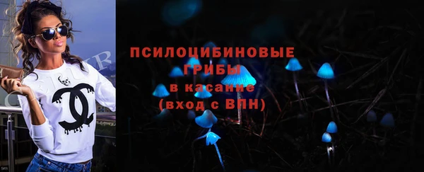 шишки Верхний Тагил