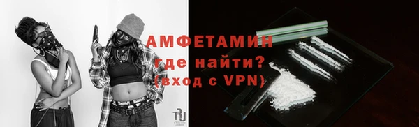 шишки Верхний Тагил