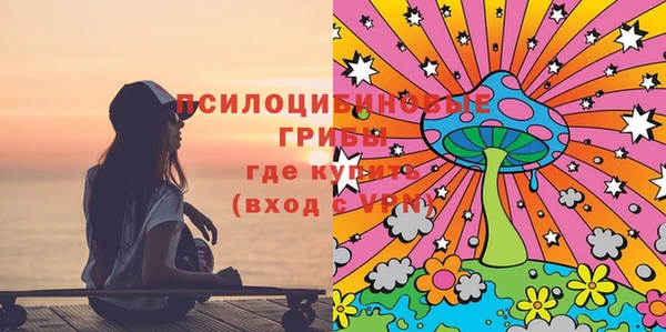шишки Верхний Тагил