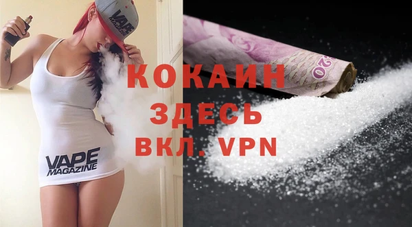 шишки Верхний Тагил