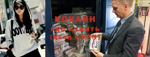 шишки Верхний Тагил