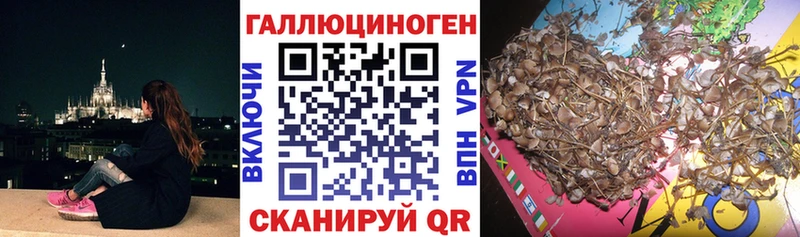 мориарти состав  Волосово  Галлюциногенные грибы MAGIC MUSHROOMS 